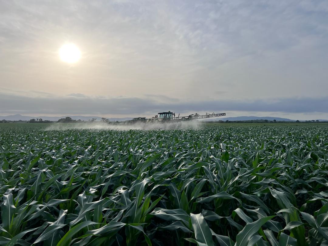 Goshen farm production activity